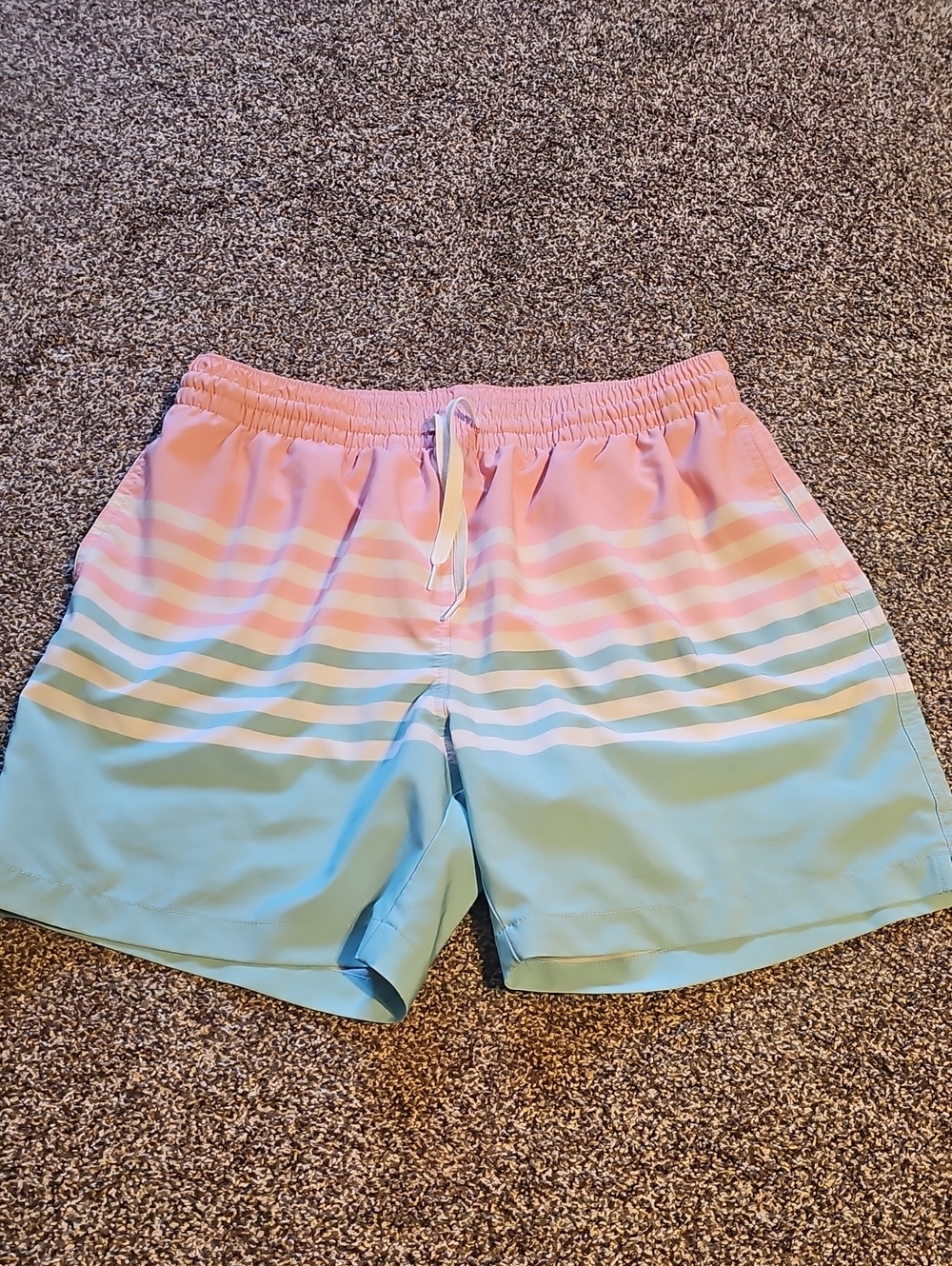Men's Pastel Stripe Swim Shorts - Pink & Light Blue